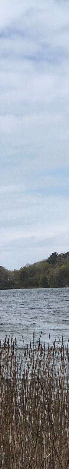 Hammer Lighthouse (Hammer Fyr)-阿灵厄