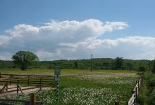 Valley of Narcissi Nature Reserve景点图片