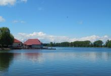 Town Lake景点图片