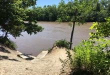 Hauberg Museum景点图片