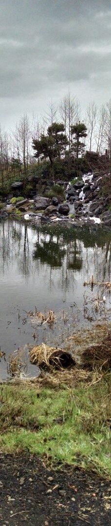 Talking Water Gardens-奥尔巴尼