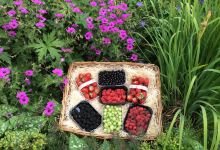 Malones Fruit Farm购物图片