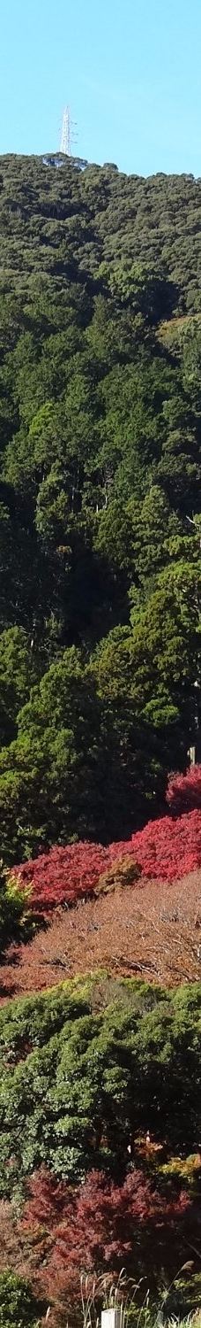 Fumon-ji Temple-丰桥市