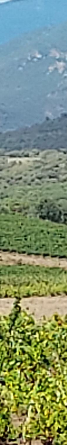 Monasterio Sant Quirze De Colera-Alt Emporda