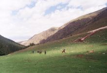 Shar Waterfall景点图片