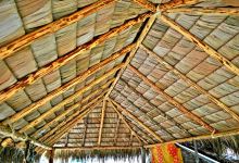 Rancho Los Taraises景点图片