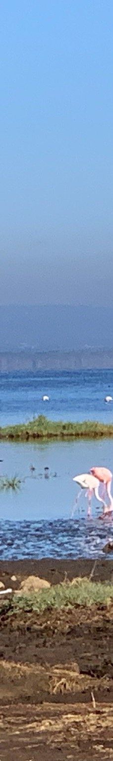 Adventure Africa Expedition-内罗毕