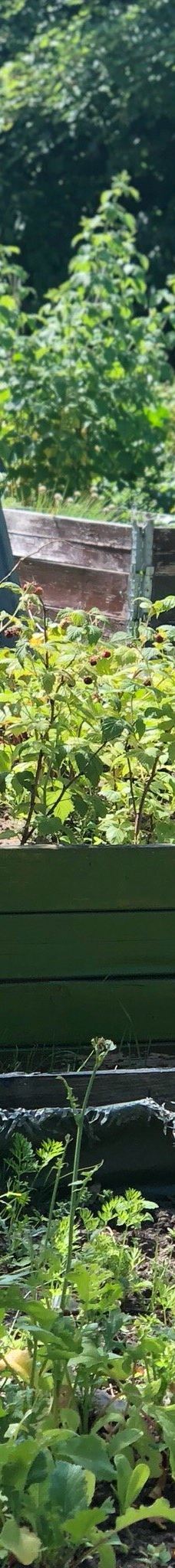 Karolinelund-奥尔堡