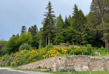 Abbaye Notre Dame Des Neiges景点图片