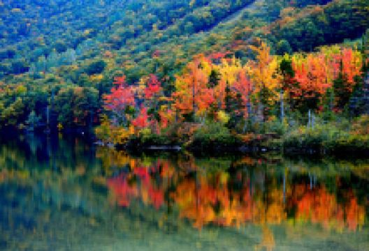 Bethlehem Heritage Society景点图片