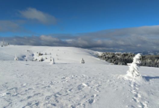 Bismarck Denkmal景点图片