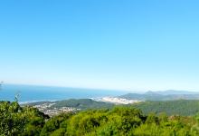 Miradouro Florestal de Afife景点图片