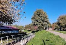 Danube river park景点图片