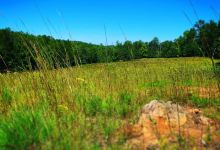 Pickett's Mill Battlefield State Historic Site景点图片