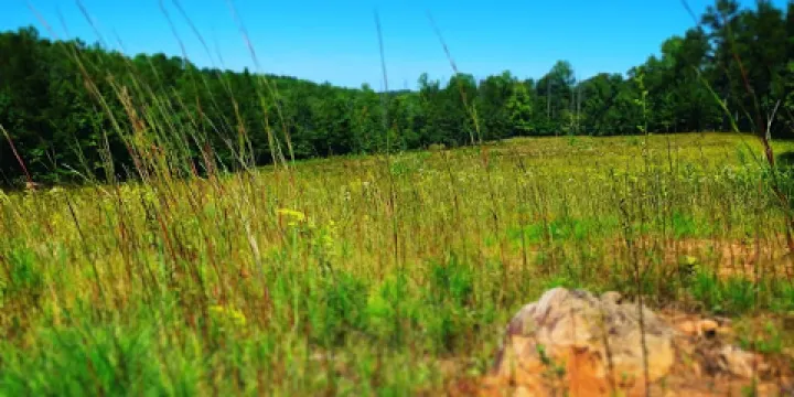 Pickett's Mill Battlefield State Historic Site
