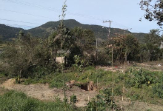 SANRY CEREALISTA E ARMAZENAGEM LTDA购物图片