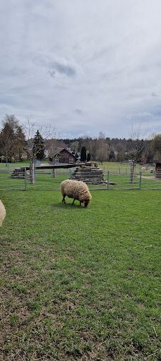Tiergehege Waldhaus-莫尔斯多夫-泰希沃尔夫拉姆斯多夫