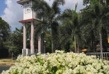Nittambuwa Clock Tower景点图片