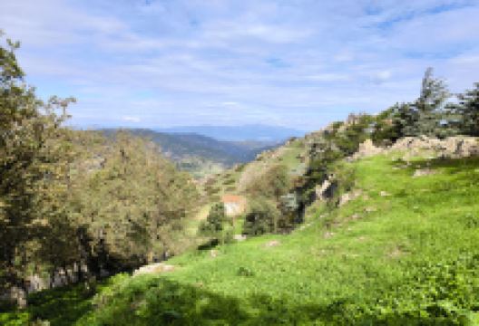 Parco Comunale Pineta Salvatore Pala景点图片