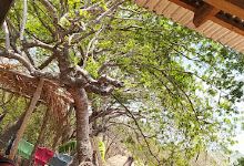 Finca La Traición景点图片