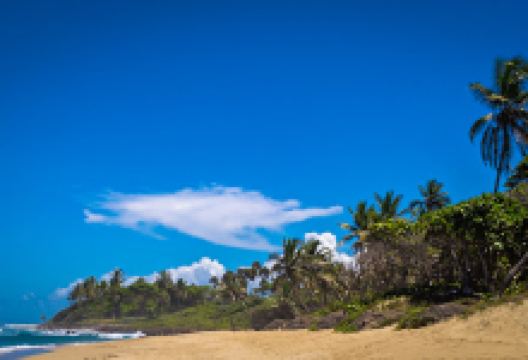 Encuentro Beach景点图片