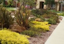 Ellis Field景点图片