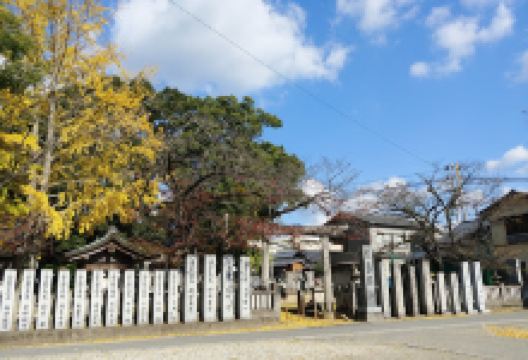 Matsushima Shrine景点图片