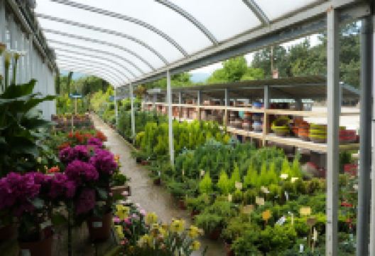 Los Rosales Garden Center S L购物图片