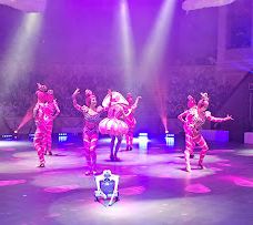 奇尼塞利马戏团-圣彼得堡