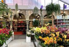 Wyss GartenHaus Oberwil购物图片
