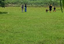 Mushola Miftahul Falah景点图片