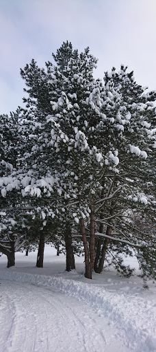 New World Park-茨维考