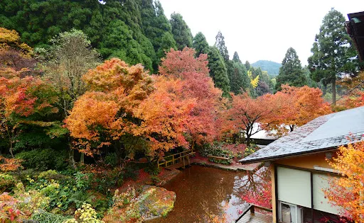 櫟之森美術館