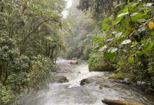 Trailhead to the waterfall景点图片