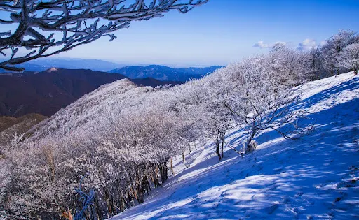 三峯山