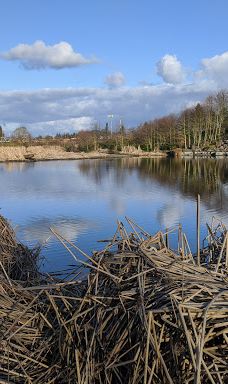Talking Water Gardens-奥尔巴尼