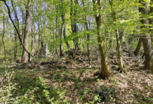 Stari grad Obadovo景点图片