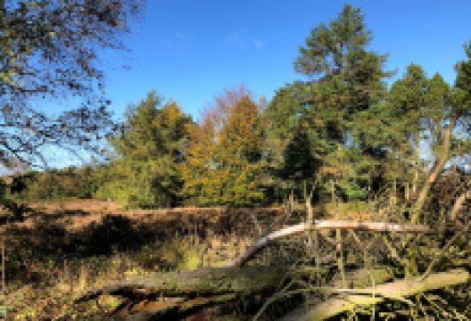 Brownhills Common景点图片