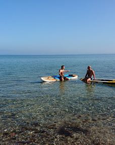 Åbent skovareal ved Nyborg-尼堡