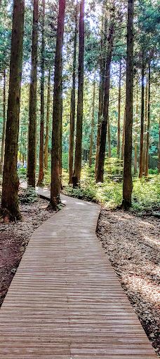 思连伊林道红色登高入口-西归浦市