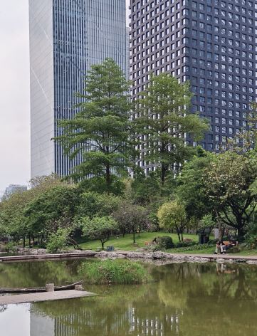 花城广场景点图片 38