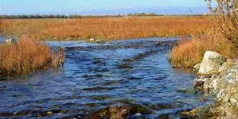 哈巴河縣博物館