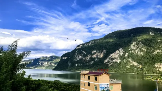 江野露營基地