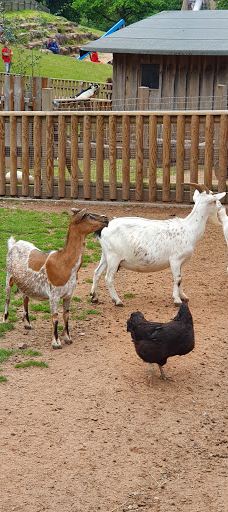 Südliche weinstraße wildlife park-南魏恩斯特拉瑟县