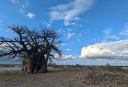 Nata Bird Sanctuary景点图片
