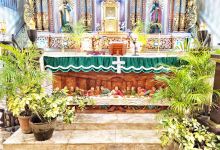 Our Lady of the Assumption Parish Church景点图片