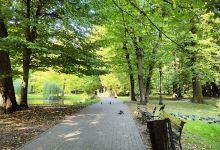 Park Dittricha景点图片