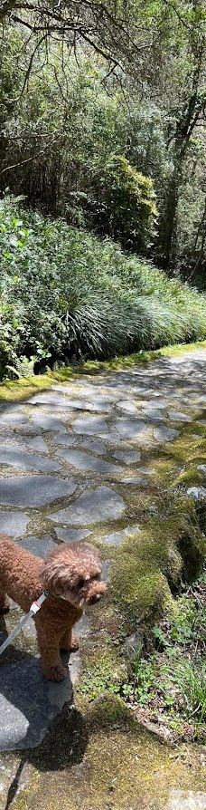 恩赐箱根公园-箱根