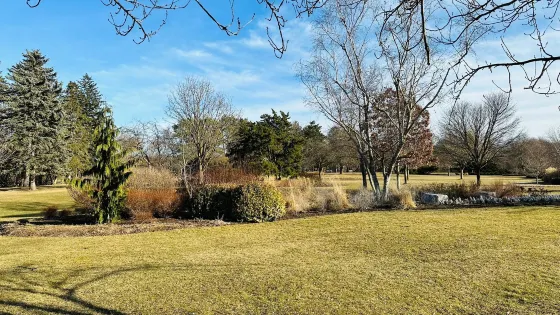 詹姆斯公園