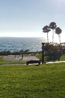 Salt Creek Beach-达纳点